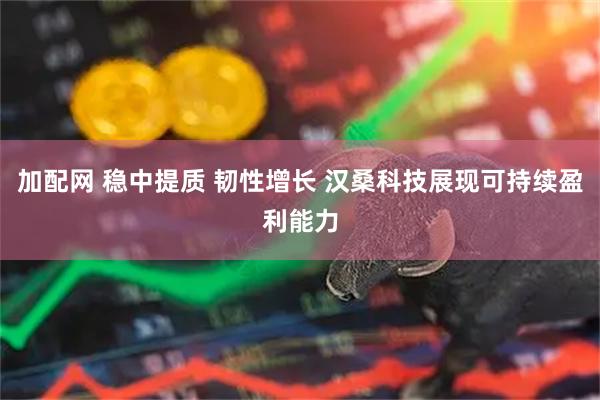 加配网 稳中提质 韧性增长 汉桑科技展现可持续盈利能力