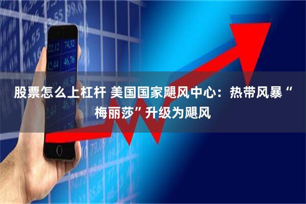 股票怎么上杠杆 美国国家飓风中心：热带风暴“梅丽莎”升级为飓风