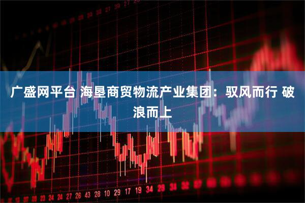 广盛网平台 海垦商贸物流产业集团：驭风而行 破浪而上